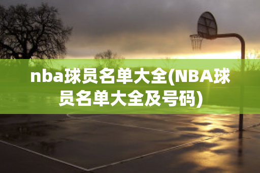 nba球员名单大全(NBA球员名单大全及号码)