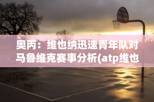 奥丙：维也纳迅速青年队对马鲁维克赛事分析(atp维也纳2021)