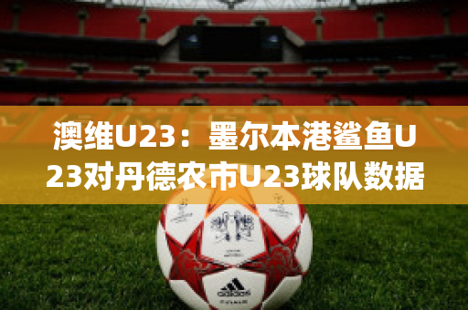 澳维U23：墨尔本港鲨鱼U23对丹德农市U23球队数据(墨尔本港鲨鱼对休姆)