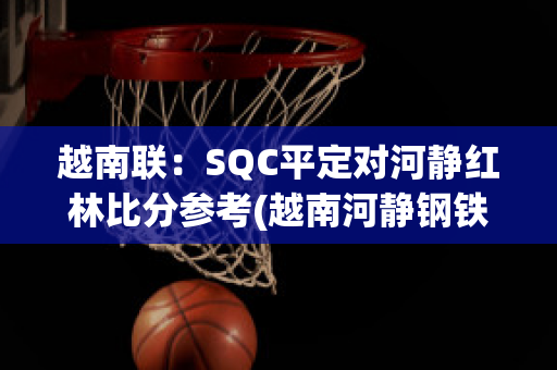 越南联：SQC平定对河静红林比分参考(越南河静钢铁厂百度百科)