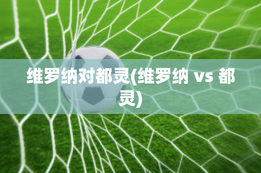 维罗纳对都灵(维罗纳 vs 都灵)