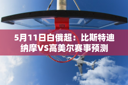 5月11日白俄超：比斯特迪纳摩VS高美尔赛事预测