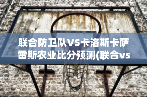 联合防卫队VS卡洛斯卡萨雷斯农业比分预测(联合vszaft)