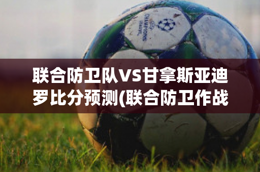 联合防卫队VS甘拿斯亚迪罗比分预测(联合防卫作战)