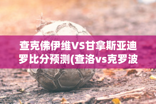 查克佛伊维VS甘拿斯亚迪罗比分预测(查洛vs克罗波夫)