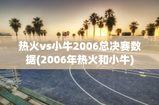 热火vs小牛2006总决赛数据(2006年热火和小牛)