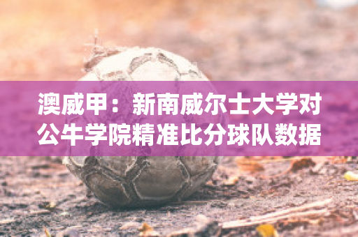 澳威甲：新南威尔士大学对公牛学院精准比分球队数据(澳洲新南威尔士qs排名)