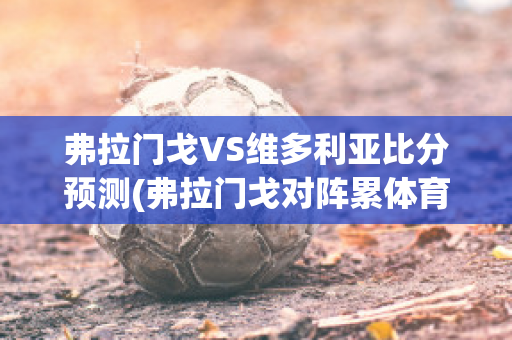 弗拉门戈VS维多利亚比分预测(弗拉门戈对阵累体育)