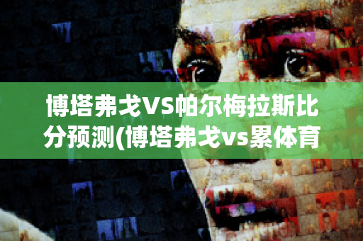 博塔弗戈VS帕尔梅拉斯比分预测(博塔弗戈vs累体育)