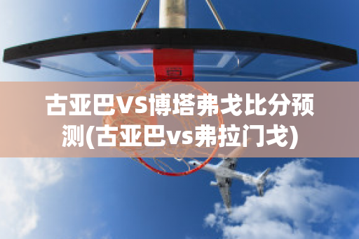 古亚巴VS博塔弗戈比分预测(古亚巴vs弗拉门戈)