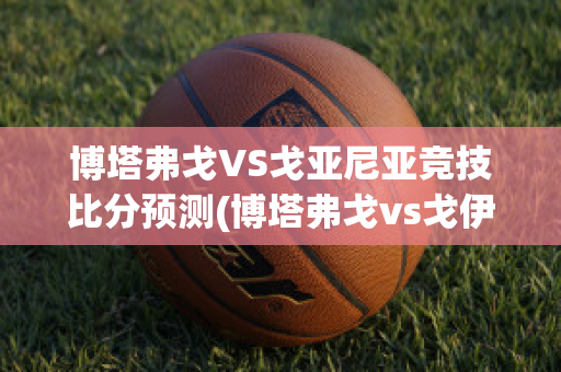 博塔弗戈VS戈亚尼亚竞技比分预测(博塔弗戈vs戈伊亚斯)