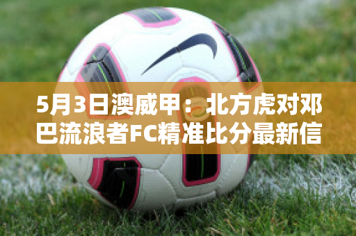 5月3日澳威甲：北方虎对邓巴流浪者FC精准比分最新信息