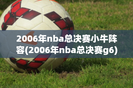 2006年nba总决赛小牛阵容(2006年nba总决赛g6)