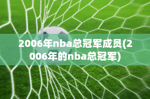 2006年nba总冠军成员(2006年的nba总冠军)