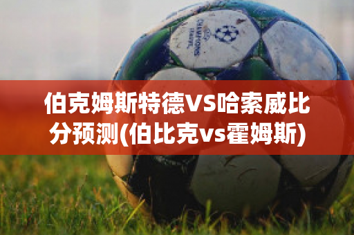 伯克姆斯特德VS哈索威比分预测(伯比克vs霍姆斯)