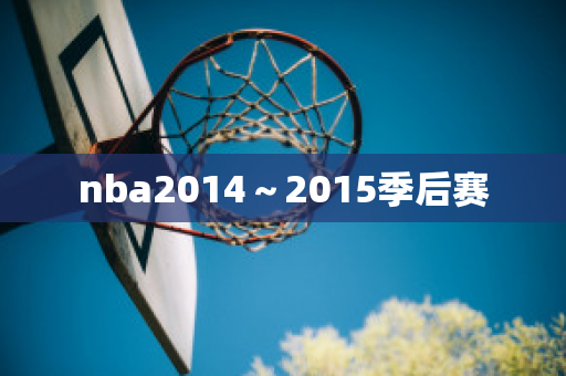 nba2014～2015季后赛