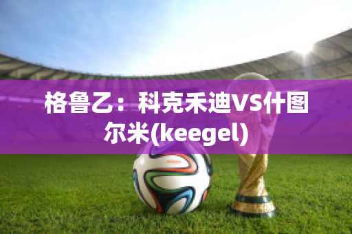 格鲁乙：科克禾迪VS什图尔米(keegel)