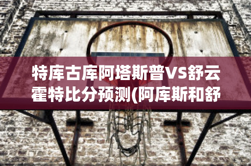 特库古库阿塔斯普VS舒云霍特比分预测(阿库斯和舒特勒对比)