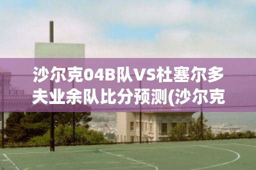 沙尔克04B队VS杜塞尔多夫业余队比分预测(沙尔克04vs杜塞多夫直播)