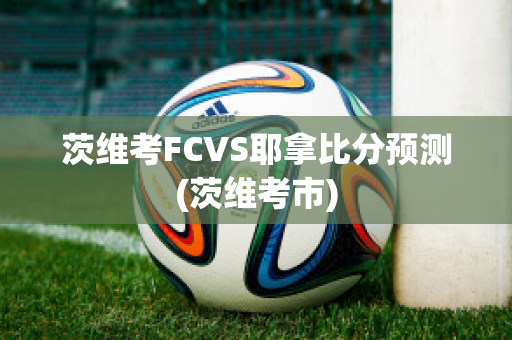 茨维考FCVS耶拿比分预测(茨维考市)