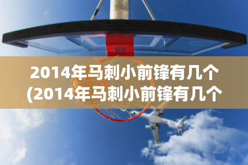 2014年马刺小前锋有几个(2014年马刺小前锋有几个球员)