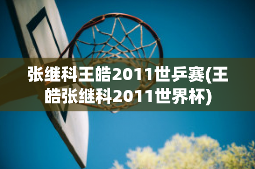 张继科王皓2011世乒赛(王皓张继科2011世界杯)