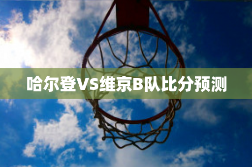 哈尔登VS维京B队比分预测