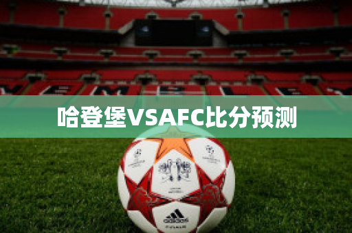 哈登堡VSAFC比分预测