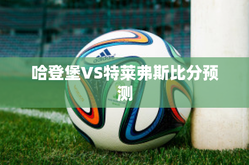 哈登堡VS特莱弗斯比分预测