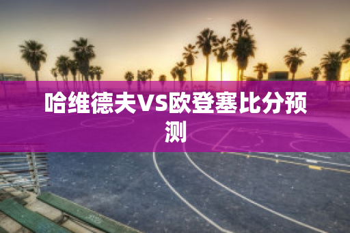 哈维德夫VS欧登塞比分预测