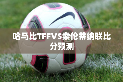 哈马比TFFVS索伦蒂纳联比分预测