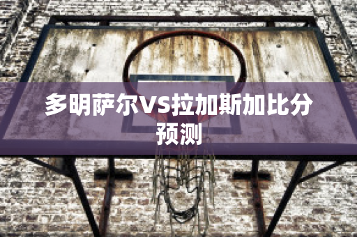 多明萨尔VS拉加斯加比分预测