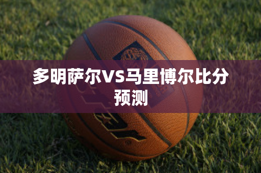 多明萨尔VS马里博尔比分预测