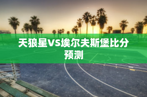 天狼星VS埃尔夫斯堡比分预测