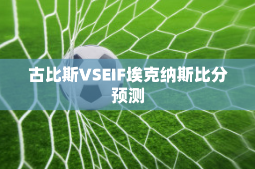 古比斯VSEIF埃克纳斯比分预测