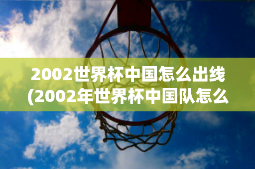 2002世界杯中国怎么出线(2002年世界杯中国队怎么进去的)