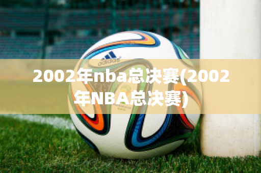 2002年nba总决赛(2002年NBA总决赛)