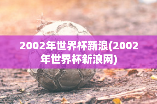 2002年世界杯新浪(2002年世界杯新浪网)