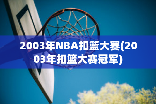 2003年NBA扣篮大赛(2003年扣篮大赛冠军)