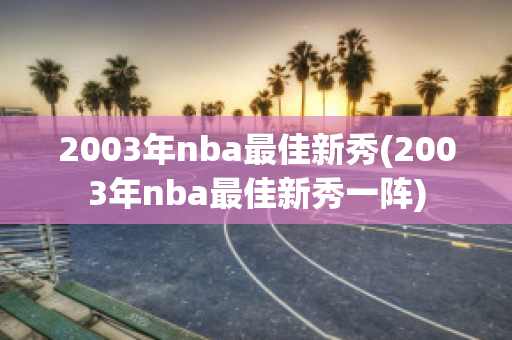 2003年nba最佳新秀(2003年nba最佳新秀一阵)