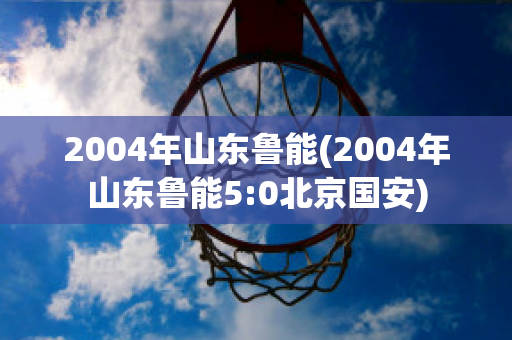 2004年山东鲁能(2004年山东鲁能5:0北京国安)