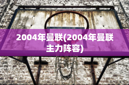 2004年曼联(2004年曼联主力阵容)