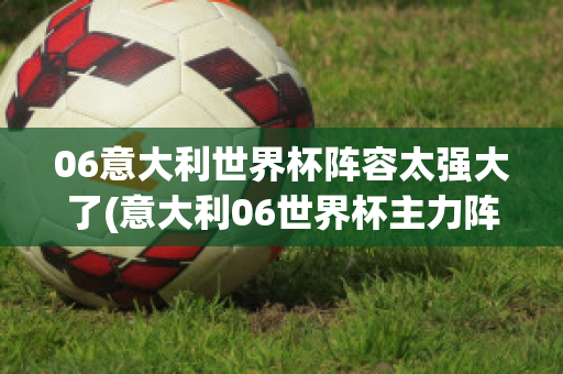 06意大利世界杯阵容太强大了(意大利06世界杯主力阵容)