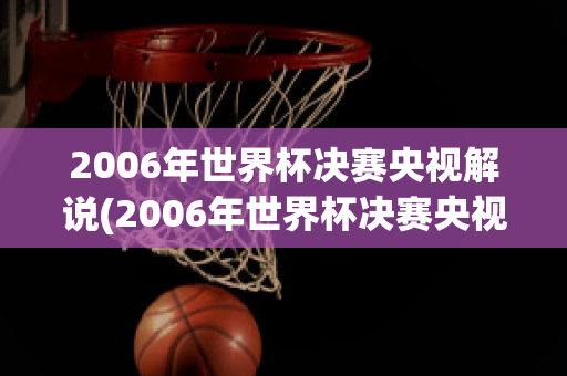 2006年世界杯决赛央视解说(2006年世界杯决赛央视解说是谁)