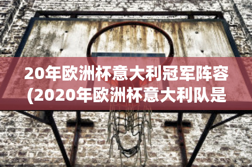 20年欧洲杯意大利冠军阵容(2020年欧洲杯意大利队是冠军吗)