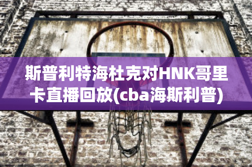 斯普利特海杜克对HNK哥里卡直播回放(cba海斯利普)