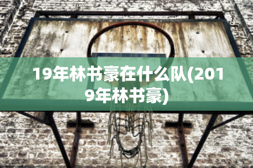 19年林书豪在什么队(2019年林书豪)