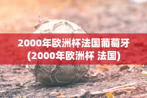 2000年欧洲杯法国葡萄牙(2000年欧洲杯 法国)