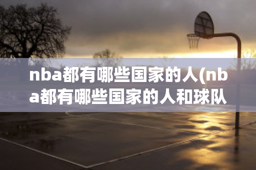 nba都有哪些国家的人(nba都有哪些国家的人和球队)