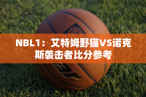 NBL1：艾特姆野猫VS诺克斯袭击者比分参考